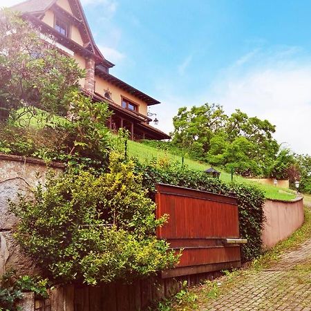 Chez Aude Apartman Andlau-au-Val Kültér fotó
