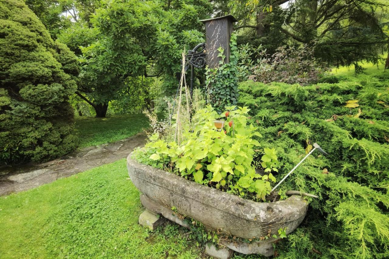 Chez Aude Apartman Andlau-au-Val Kültér fotó