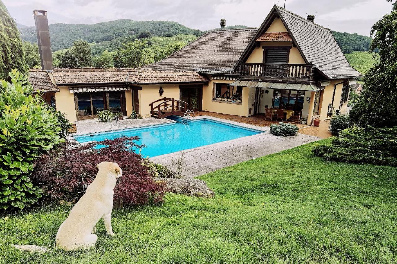 Chez Aude Apartman Andlau-au-Val Kültér fotó