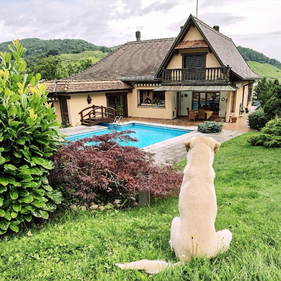 Chez Aude Apartman Andlau-au-Val Kültér fotó