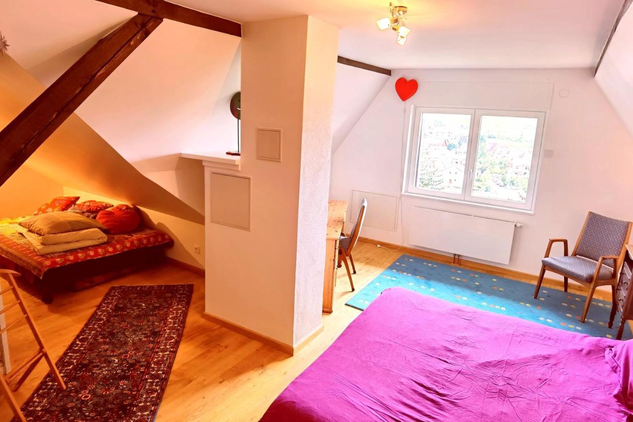 Chez Aude Apartman Andlau-au-Val Kültér fotó